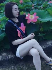 东晓南雁雁