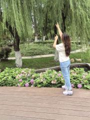 熟女姐姐体验